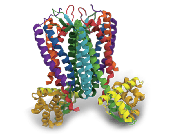 Cell free-systems are not only relevant for membrane proteins