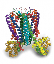 membrane-protein-expression